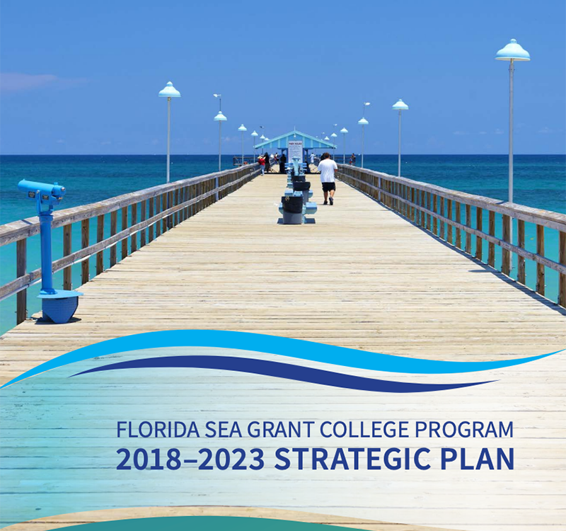 Florida Sea Grant College Program 2018 2023 Strategic Plan Florida Sea Grant