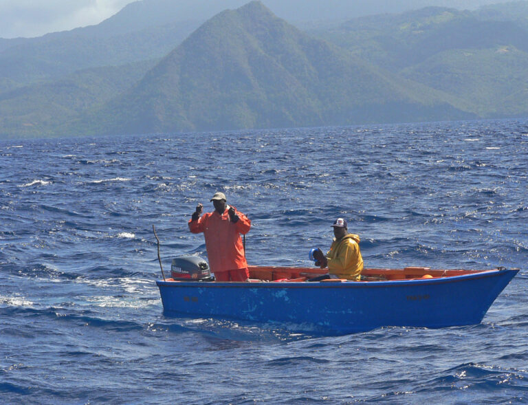 Evaluating FAD Fishing Practices On Dominica To Inform Co-Management Of ...