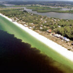 Marine Science Minute with Florida Sea Grant