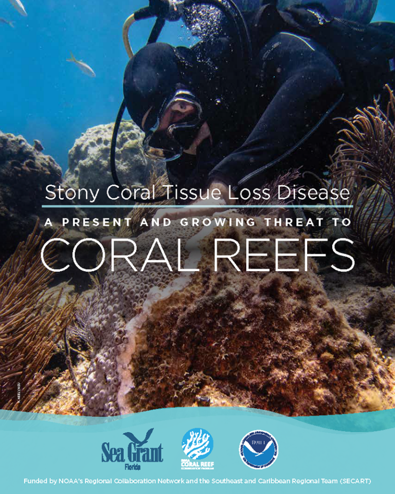 Prospectus for Stony Coral Tissue Loss Disease: A Present and Growing ...