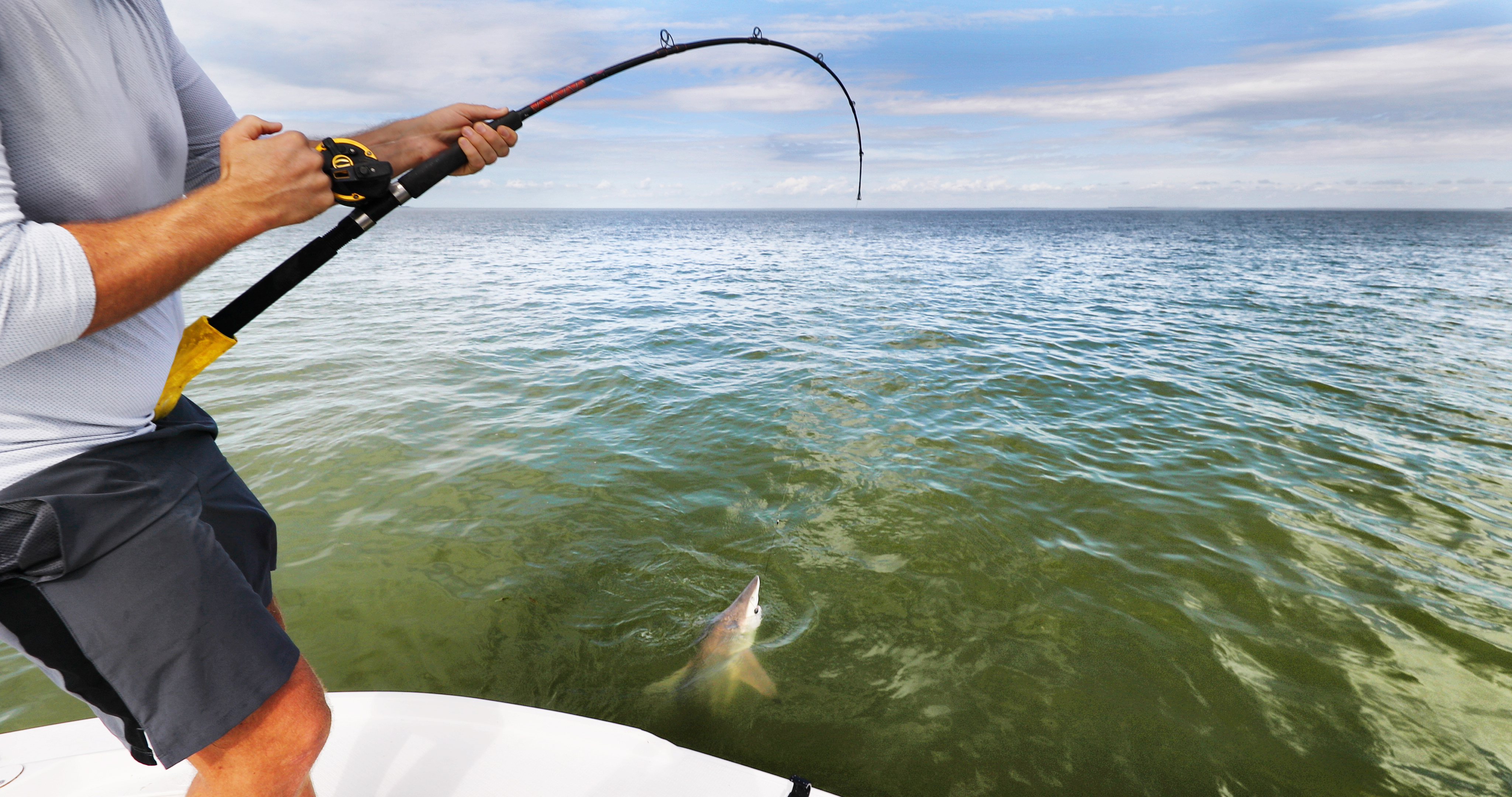 Man catching spinner shark and implementing best catch & release practices.