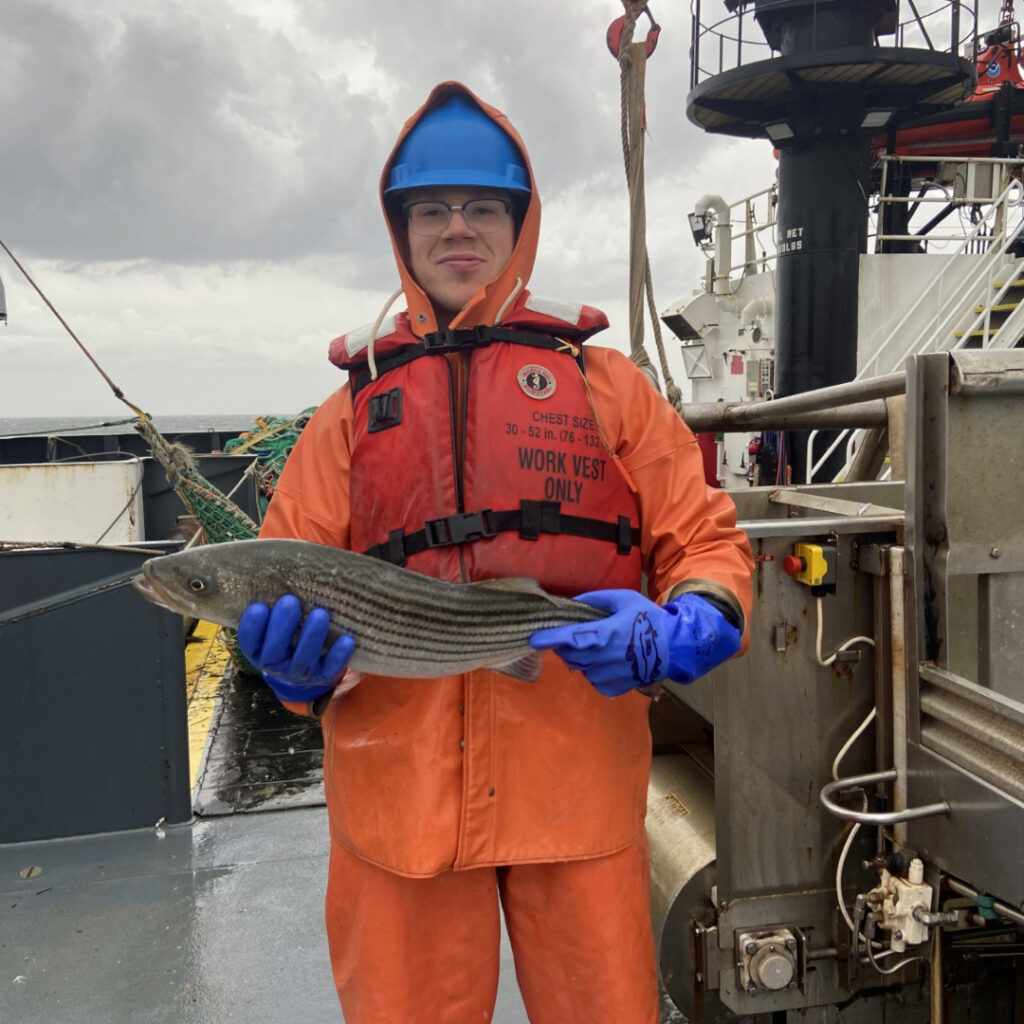 Oh, the Locations We Go: The Journey of Grey Snapper Larvae on the West Florida Shelf
 – Tech Cyber Internet