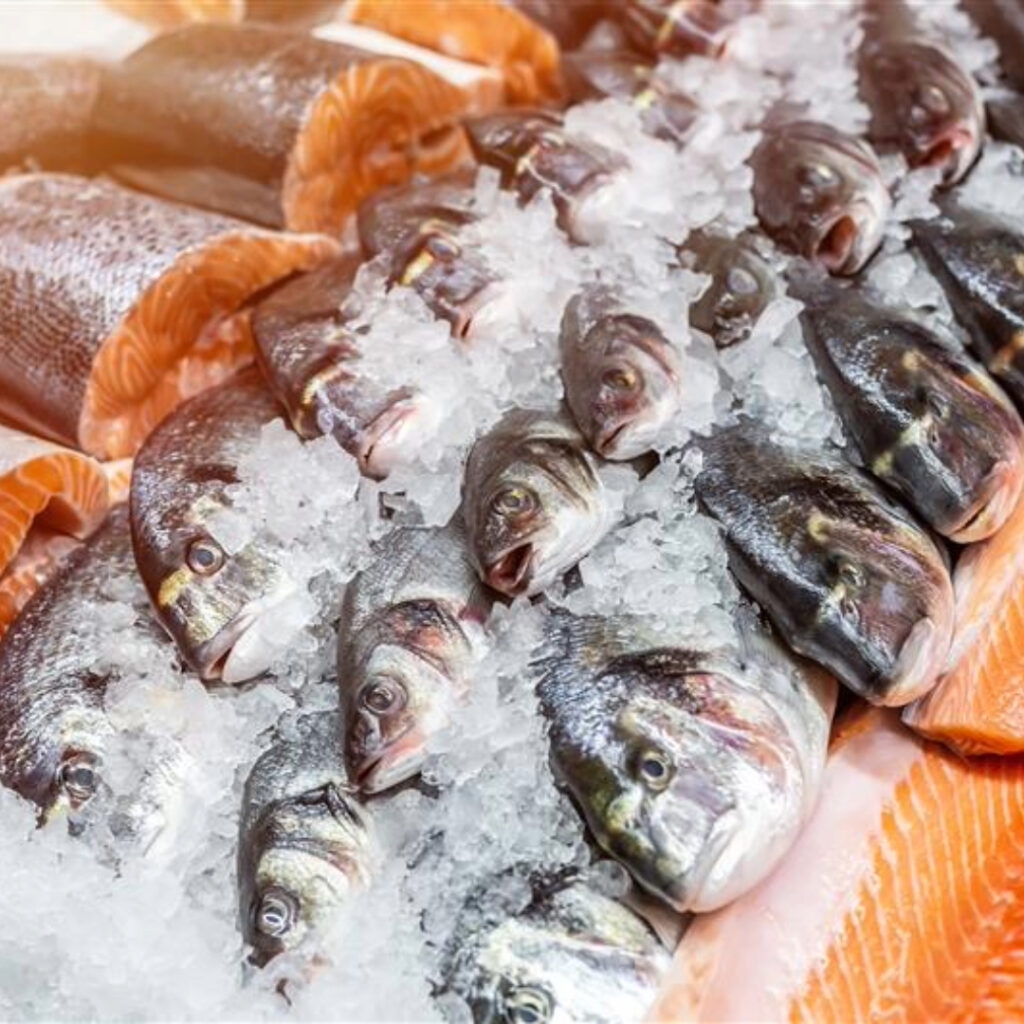 Unmasking Seafood Fraud: Researchers and Industry Develop Tools To Identify Mislabeling in Seafood Products – Go Health Pro