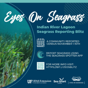 eyes on seagrass in the indian river lagoon blitz flyer