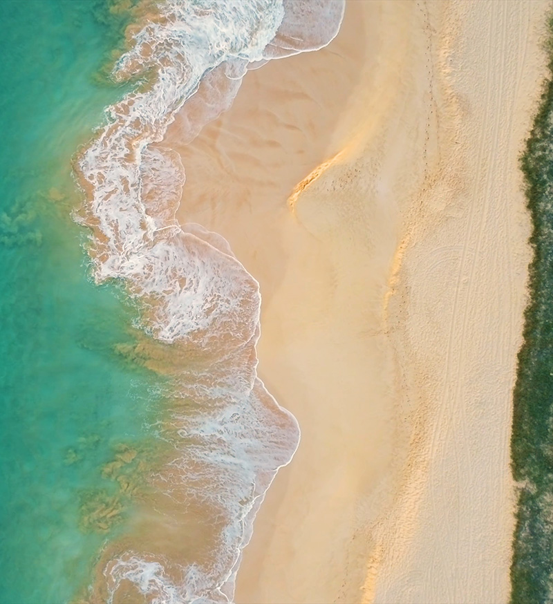 aerial view of beach and ocean