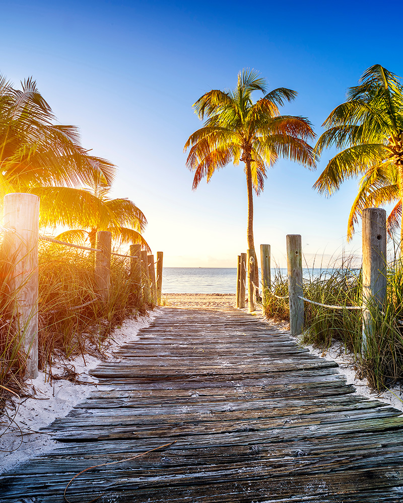 boardwalk leading to beach with palm trees