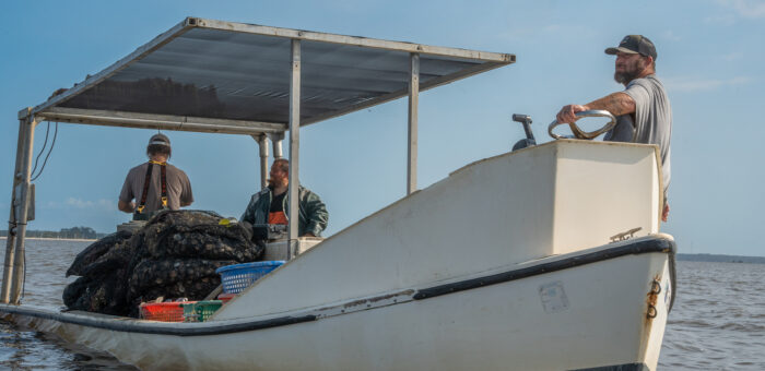 clam farmers on boat in water with bags of clams