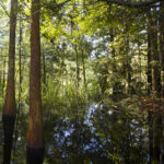 Marine Science Minute with Florida Sea Grant