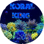 corals in tanks with "koral king" sign above