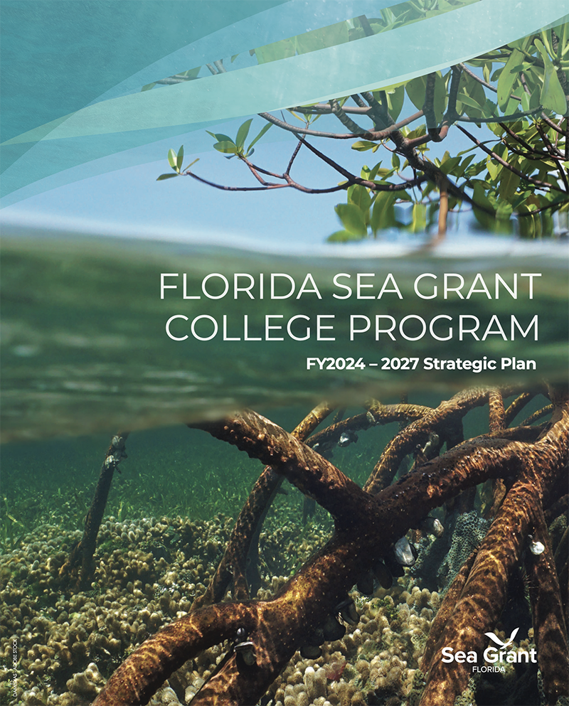 mangroves above and under water text on top "Florida sea grant college program fy2024 to 2027 strategic plan"