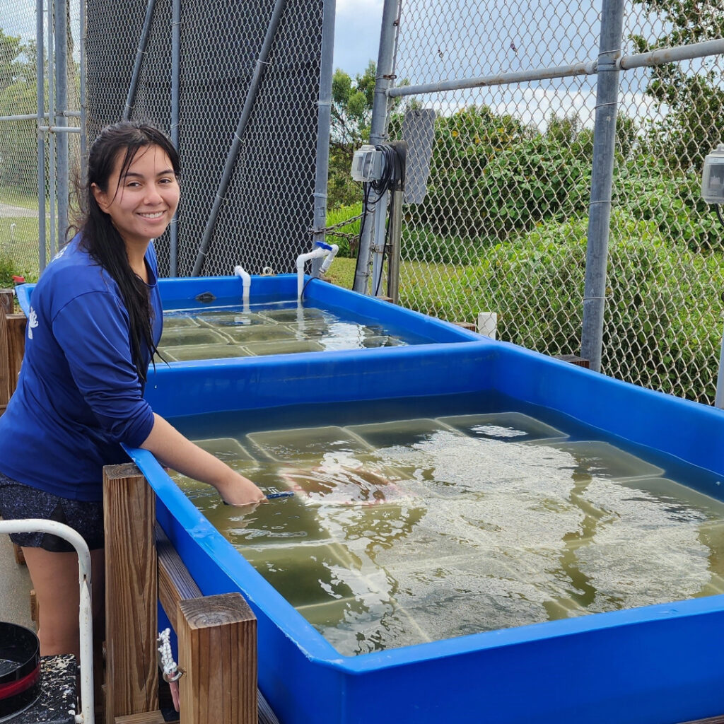 Weeding out the Competition: Investigating Seagrass-Seaweed Interactions to Improve Coastal Restoration – Go Health Pro