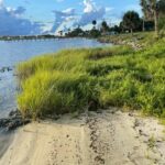 Marine Science Minute with Florida Sea Grant